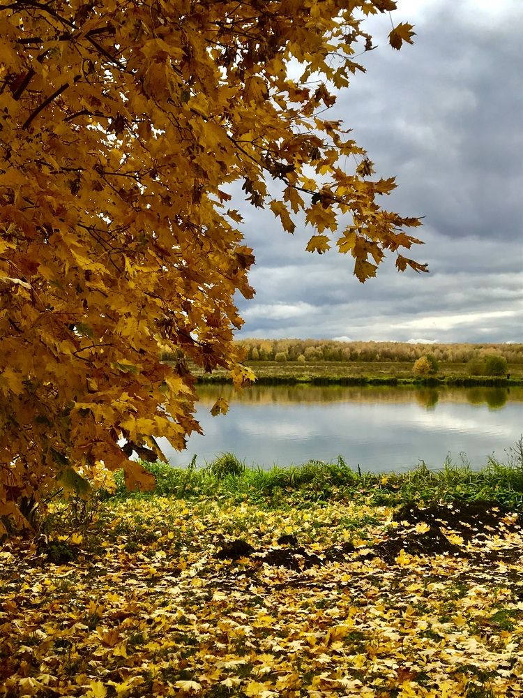 Осенний пейзаж