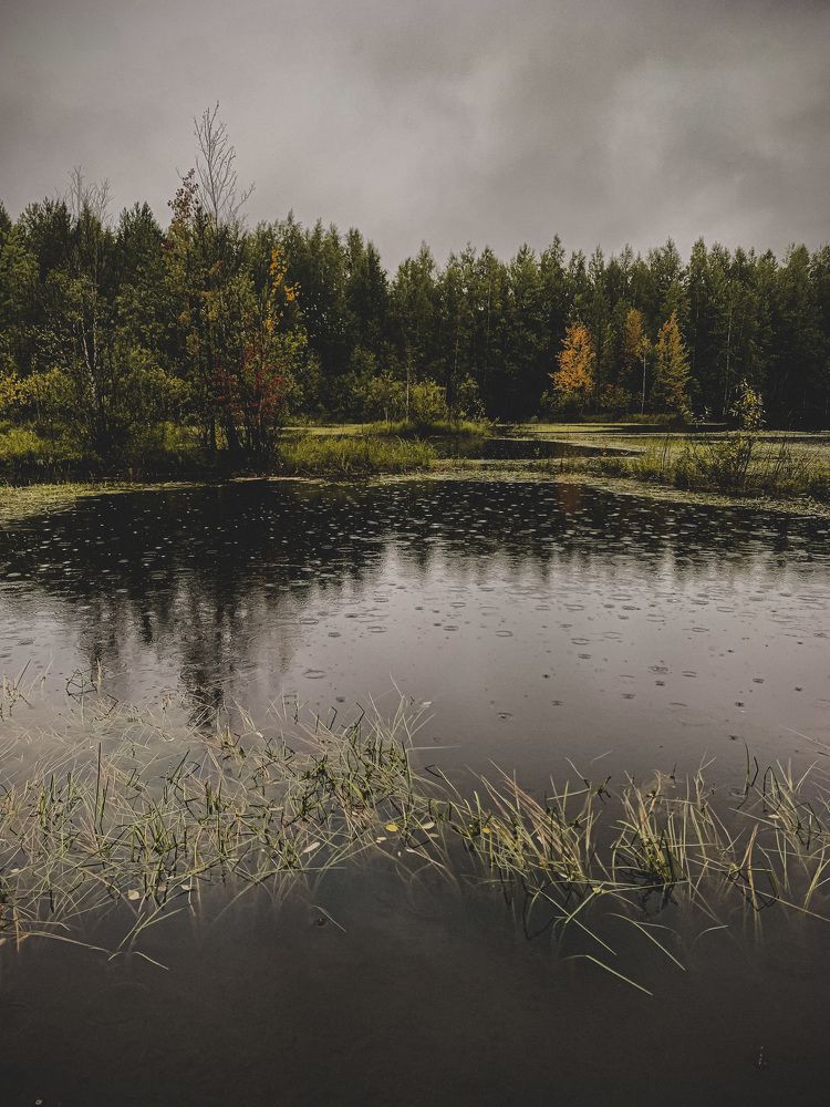 Photograph by Оксана Якименко