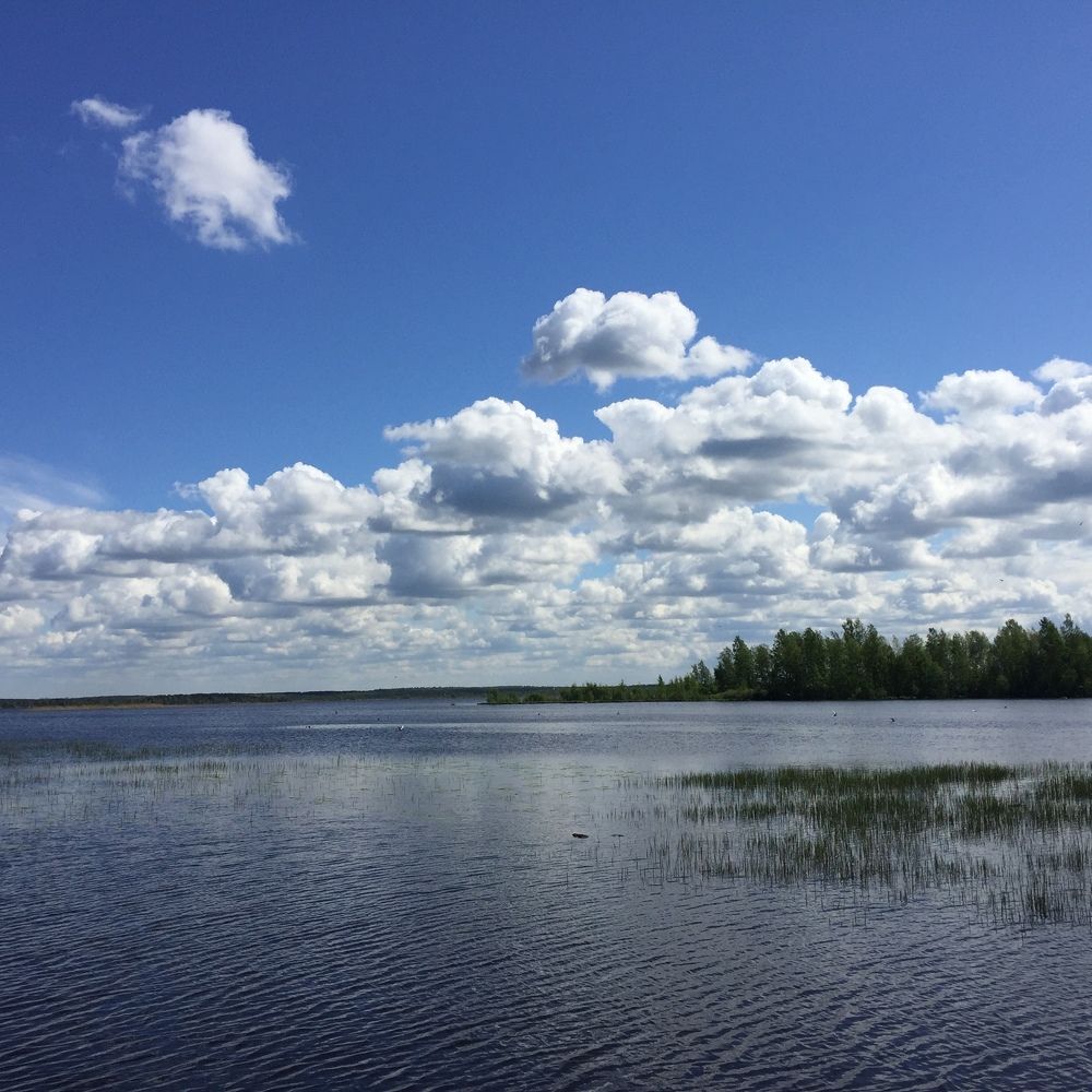 Фотография автора Василий Здоровецкий