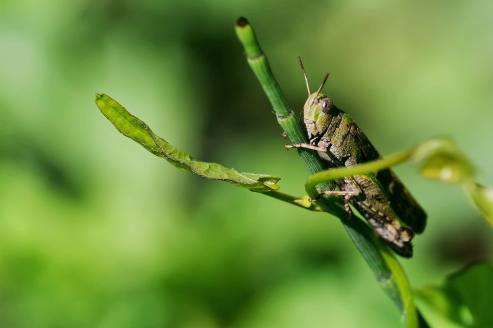 Photograph by Marko Stoickov