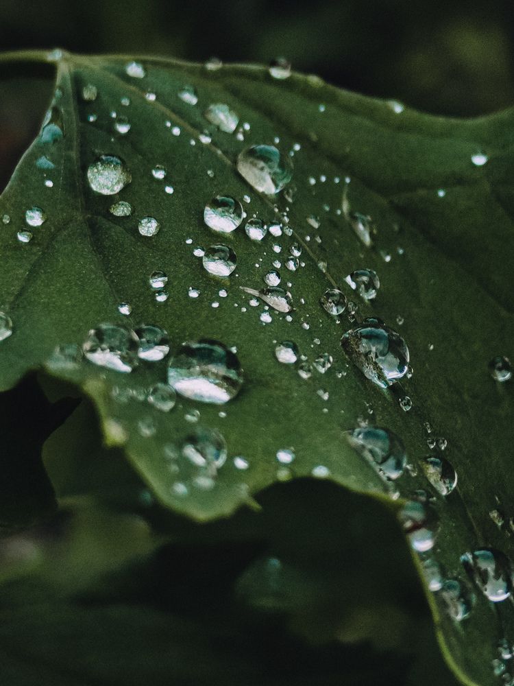 Photograph by Гульнара Зиангирова