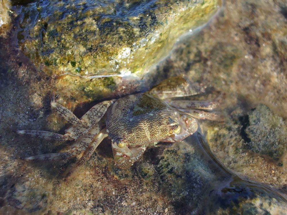 Photograph by Агнес