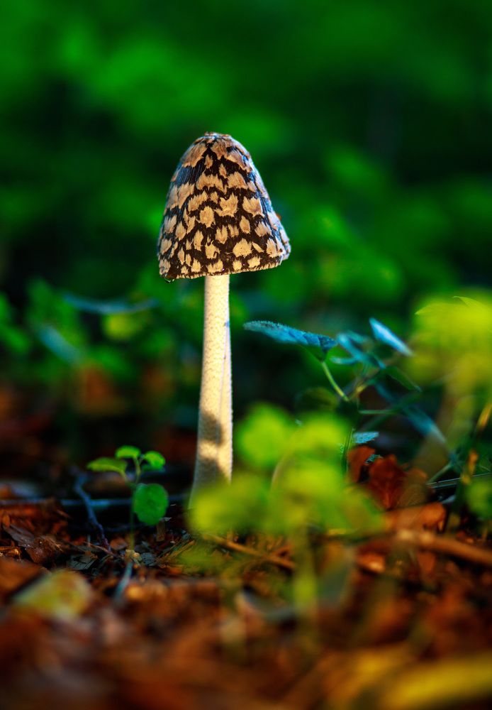 Photograph by Анна Малютина