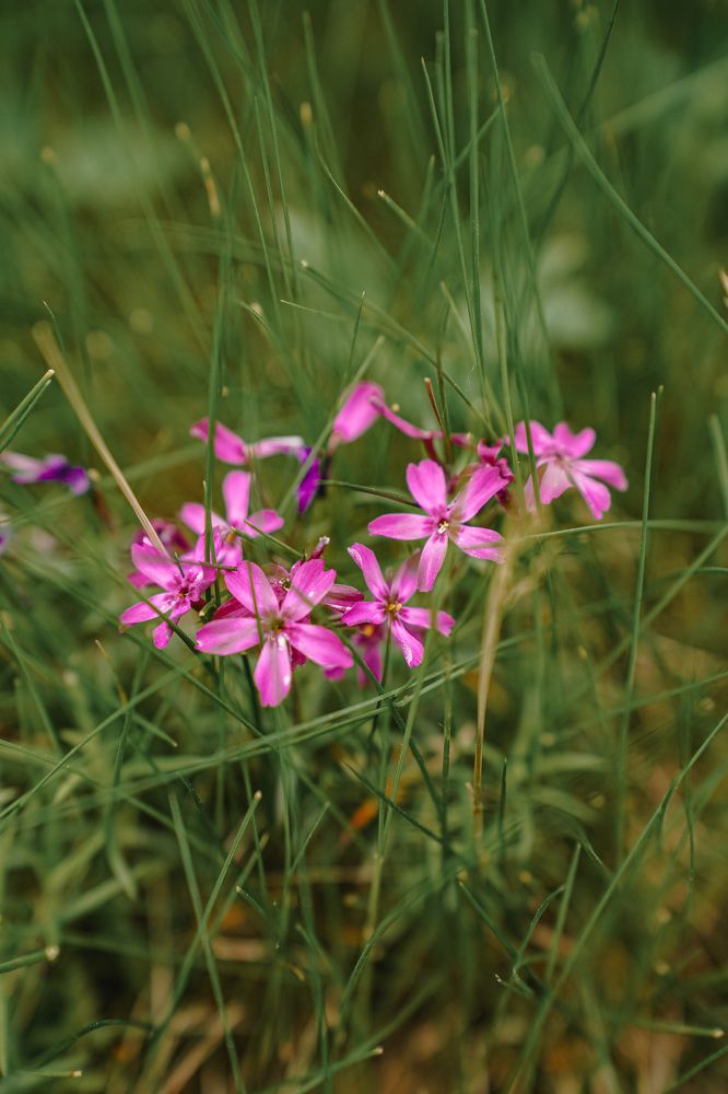 Photograph by Юлия Александровна