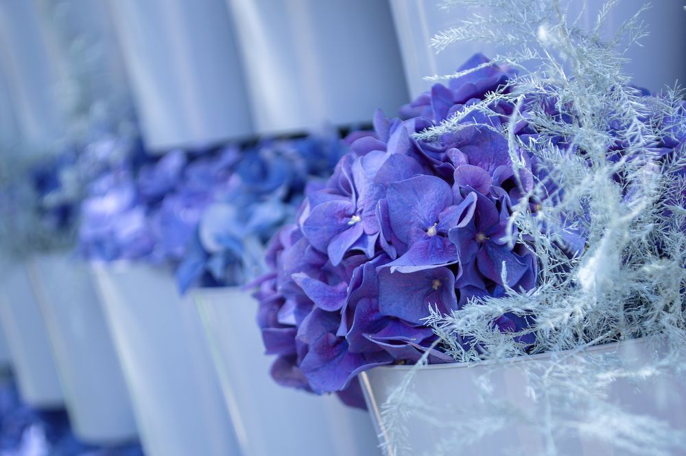 Photograph by Светлана Мельник