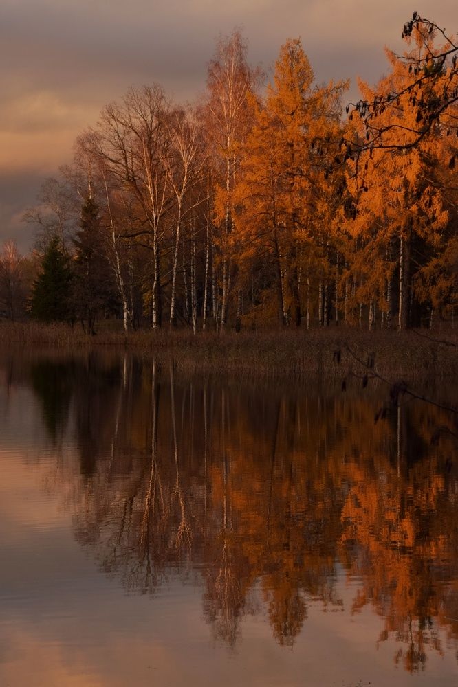 Photograph by Alex Orlov