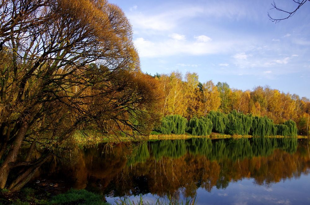 Photograph by Николай Фонарёв