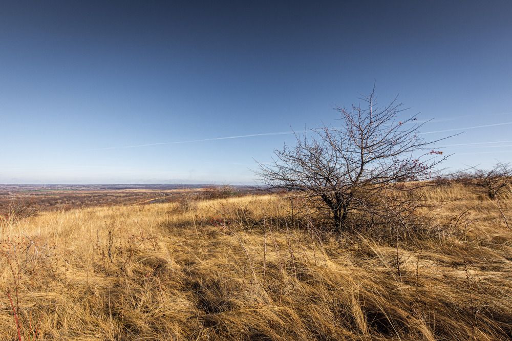 Степи Донбасса