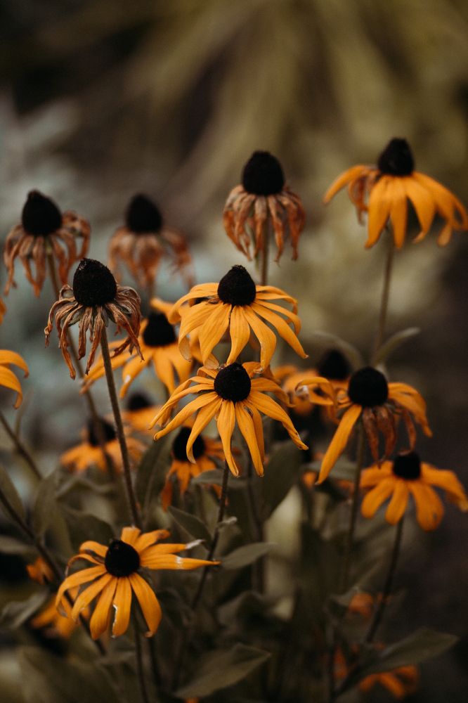 Photograph by Любовь Морозова