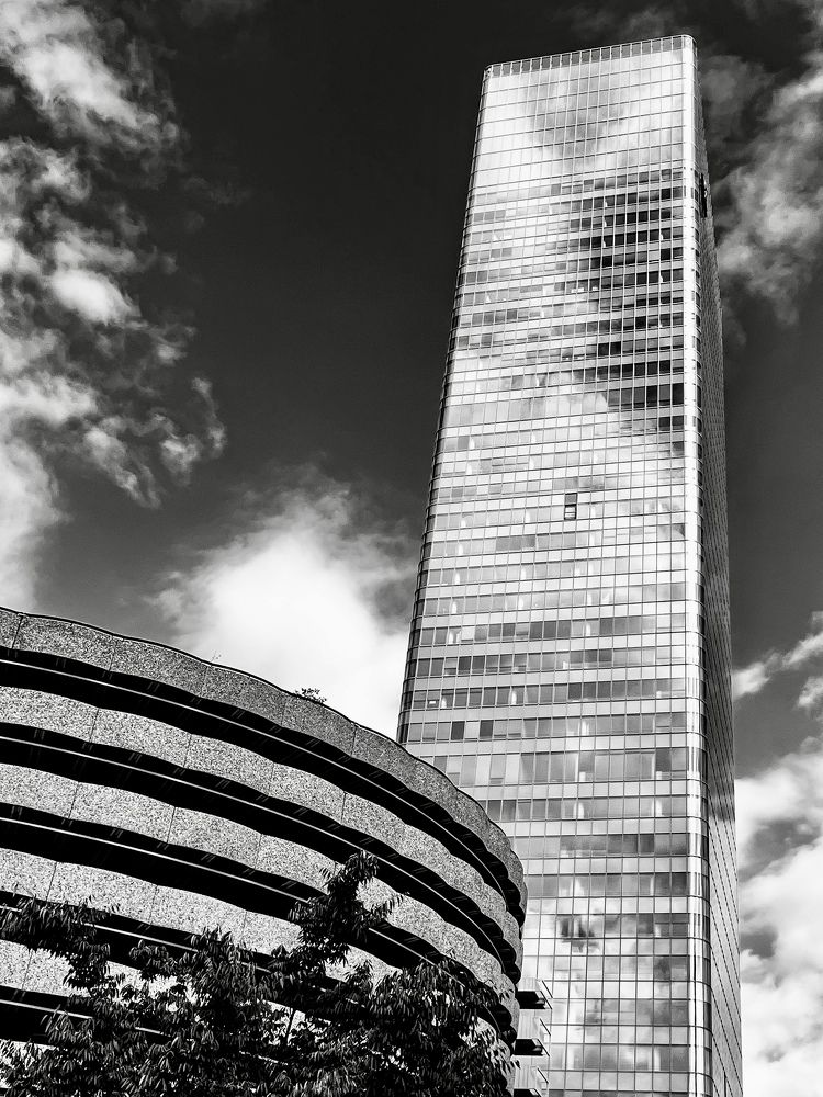 Photograph by Christine ECHEVET-ADAM de VILLIERS