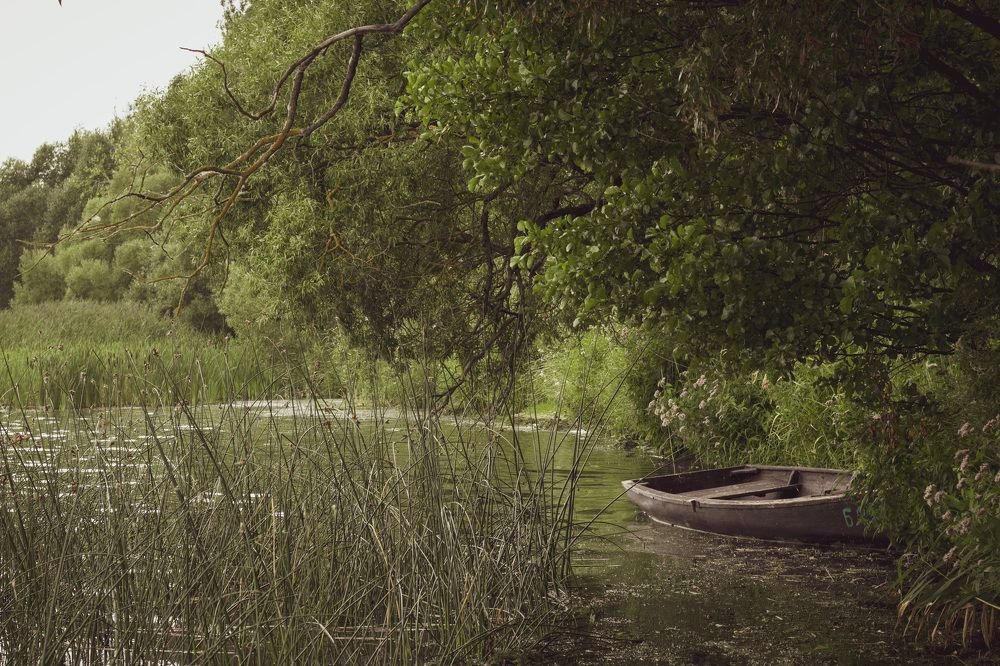 Фотография автора Ольга Никанович