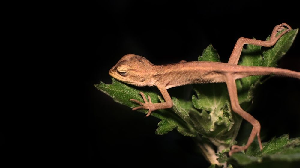 Photograph by Ekra Tasfia