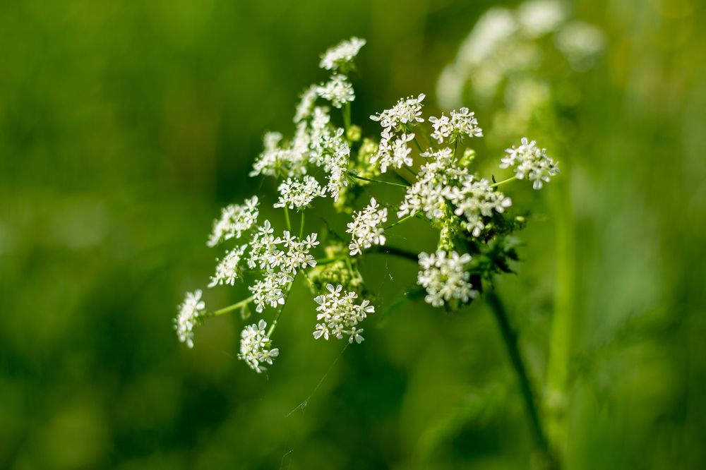 Photograph by Татьяна Кучерова