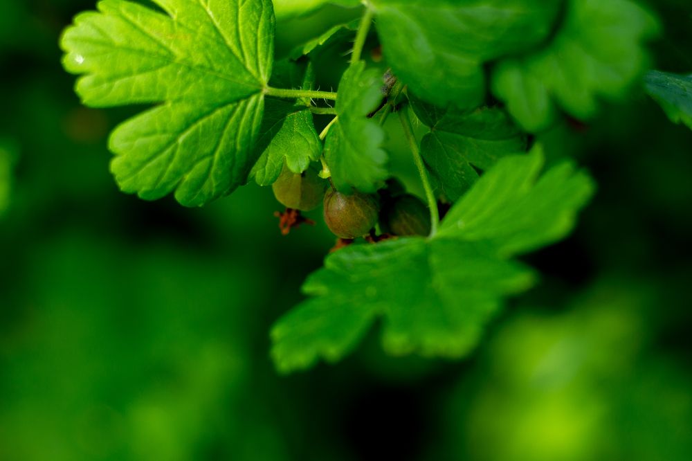 Photograph by Татьяна Кучерова