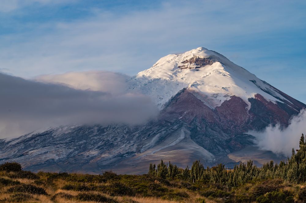 Photograph by Sandra Alvarez