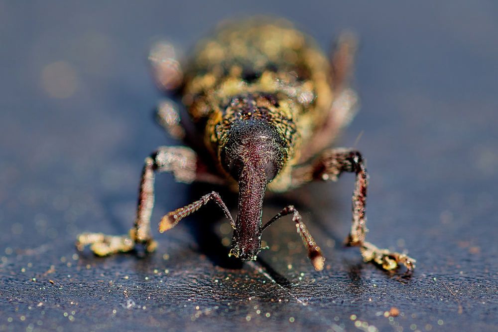 Photograph by Владимир Малевич