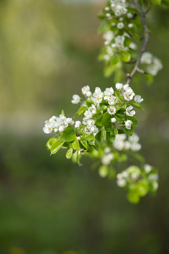 Photograph by Анастасия Басова