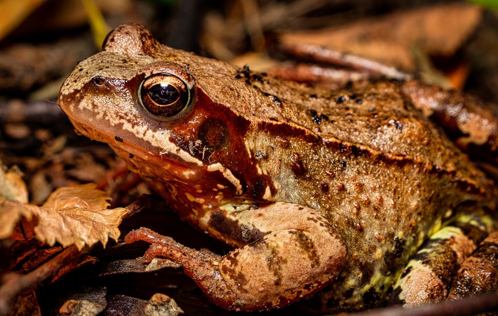 Photograph by Gevork Gukasyan