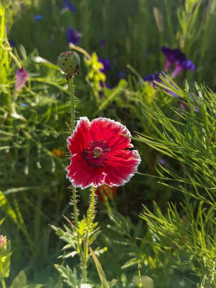 Photograph by Ирина Дегтярева