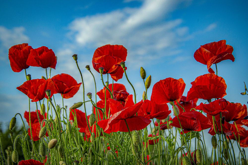 Photograph by Наталия Ковалева