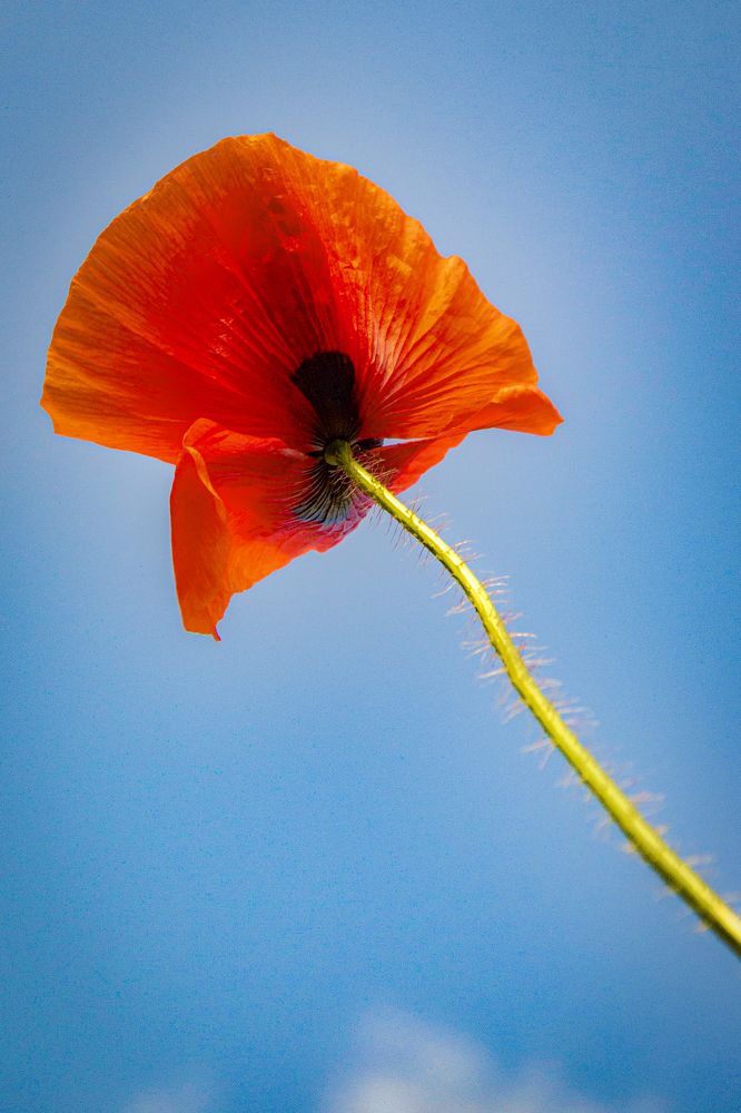 Photograph by Наталия Ковалева