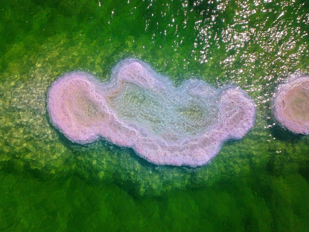 Photograph by Gotcha Biniashvili