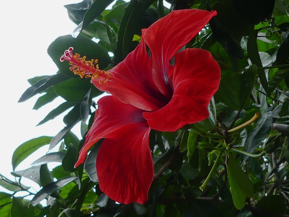 Photograph by Lucía Ruiz