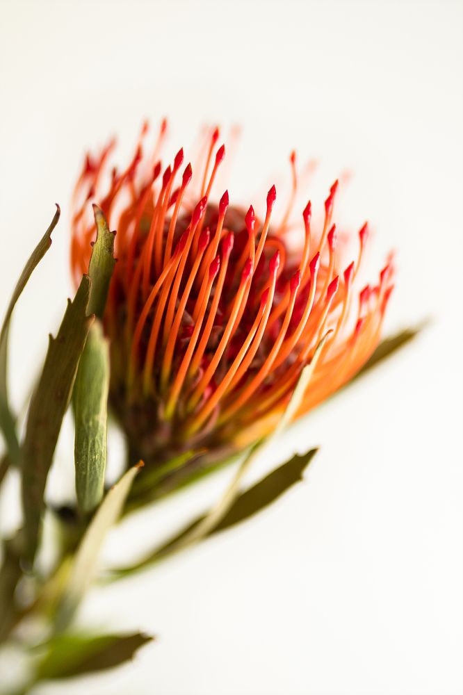 Photograph by Светлана Мухильченко