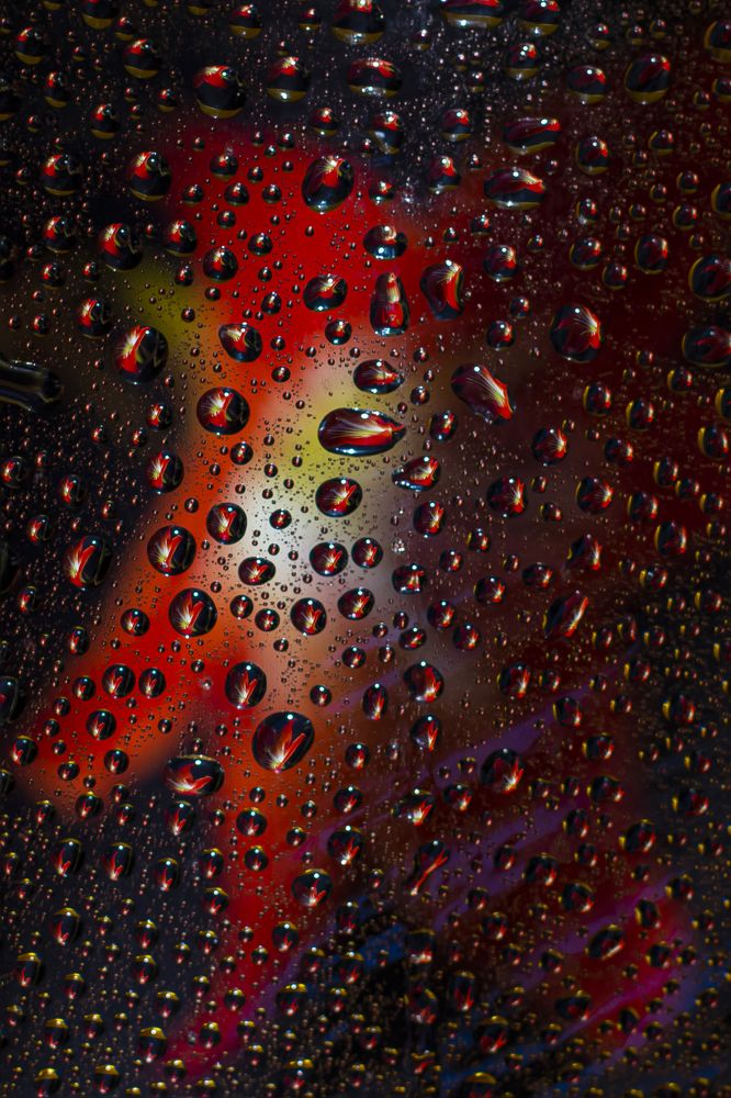 Photograph by Svetlana Karnauh Карнаух