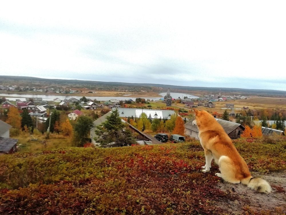 Село под охраной... :)