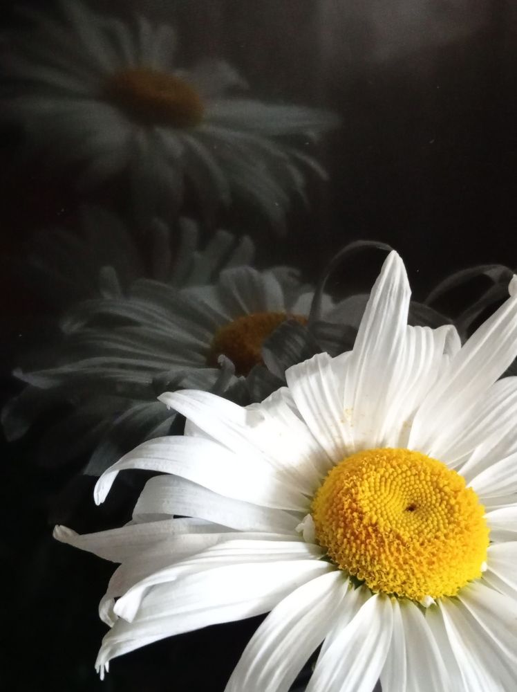 Фотография автора Aida