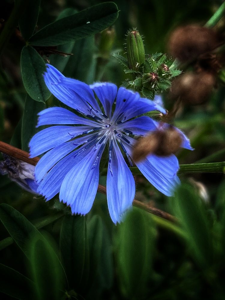 Photograph by Анастасия Куэлляр