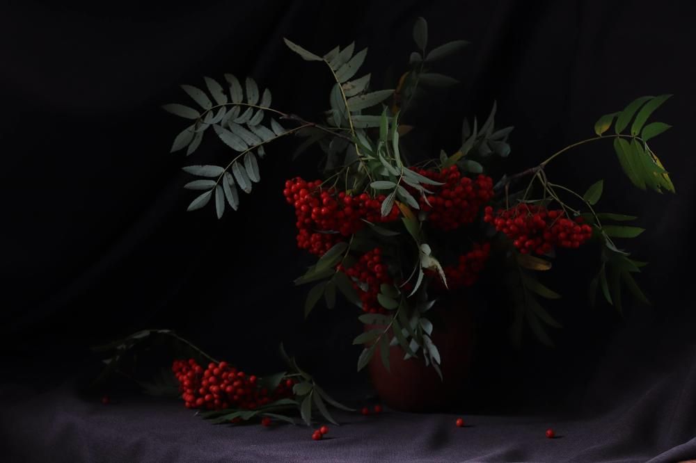 Photograph by Татьяна Кужлекова