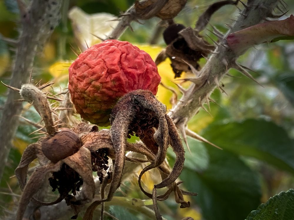 Photograph by Марина Елисейкина