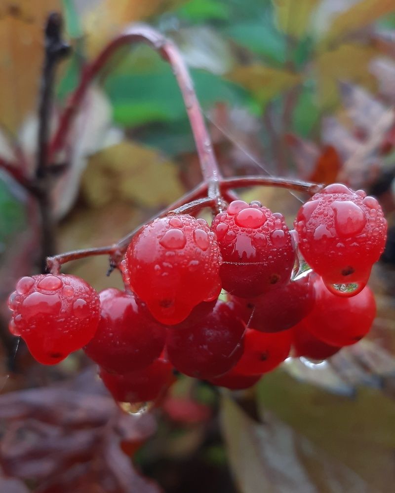 Photograph by Mobigraf