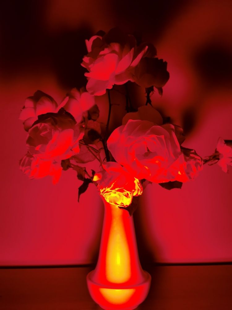 Красивый свет