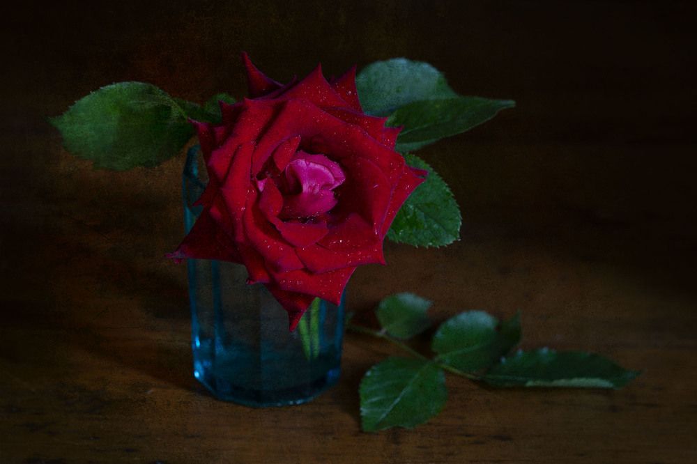 Фотография автора Марина Кулакова