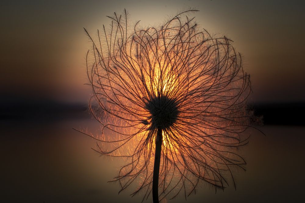 Photograph by 