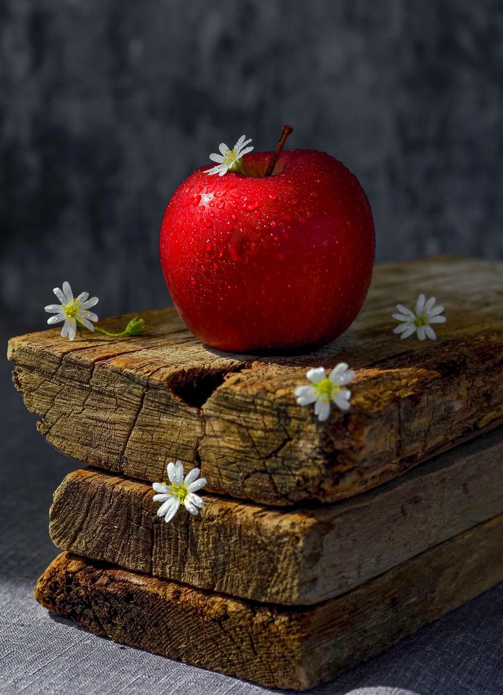 Photograph by Анастасия Чушкова