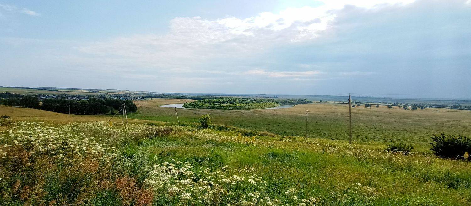 Photo #8080304