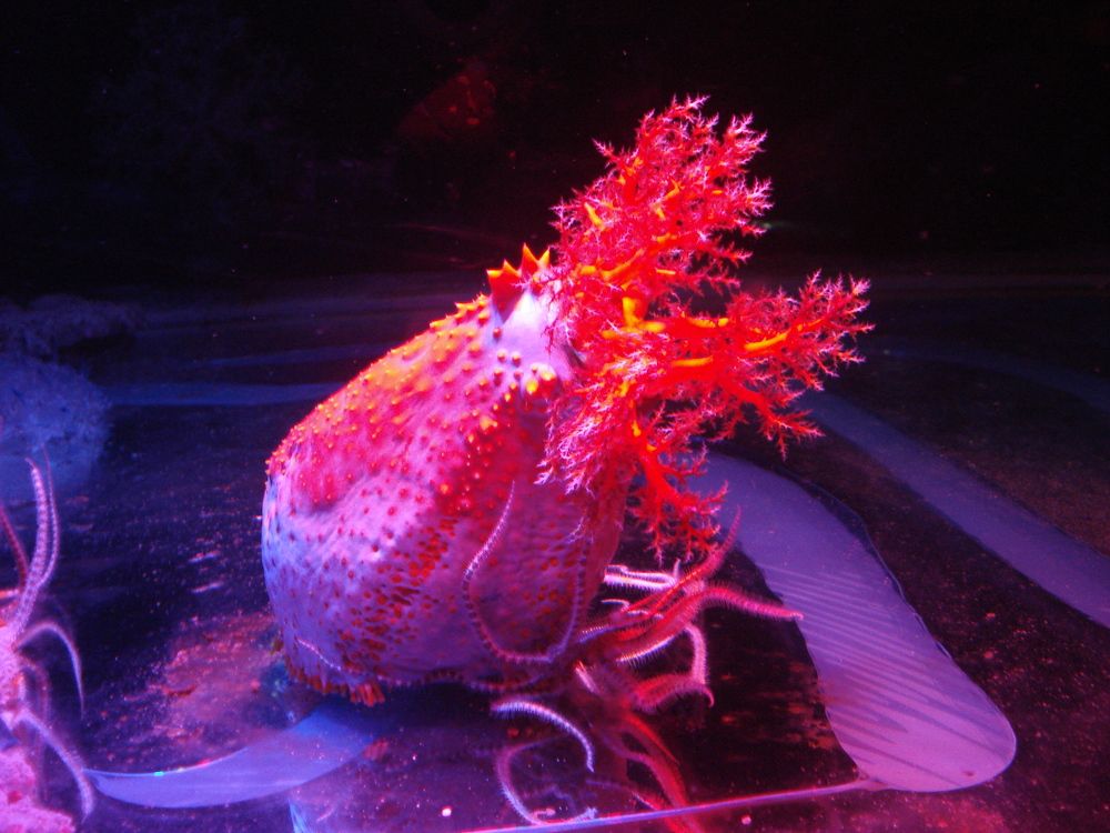 Photograph by Андрей Елькин