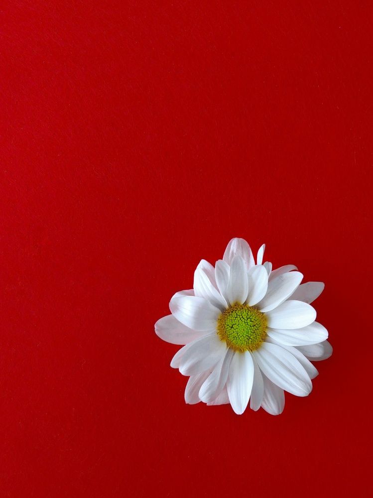 Одиночество