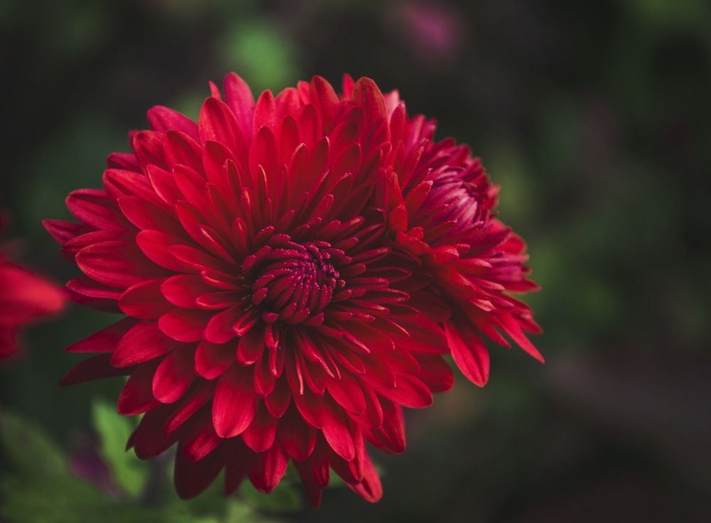 Photograph by Елизавета Большакова