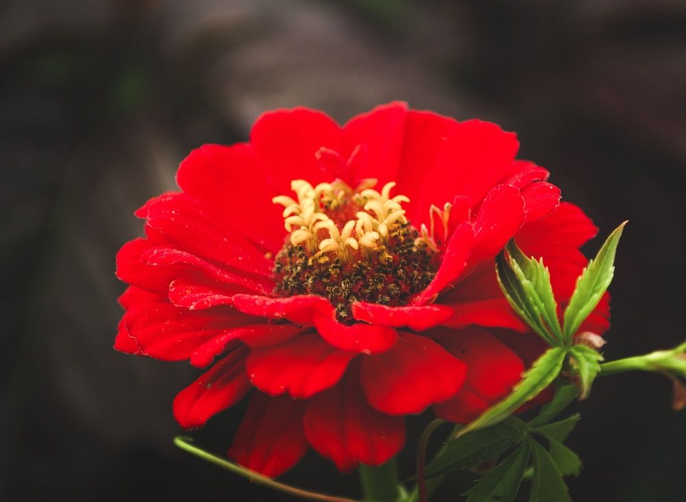 Photograph by Елизавета Большакова