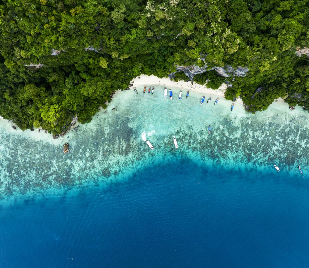 Photograph by Tran Khoa