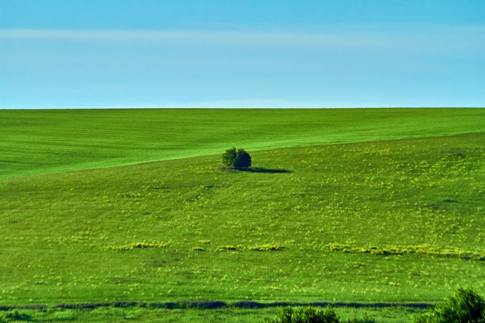 Photograph by Дмитрий Пасынков