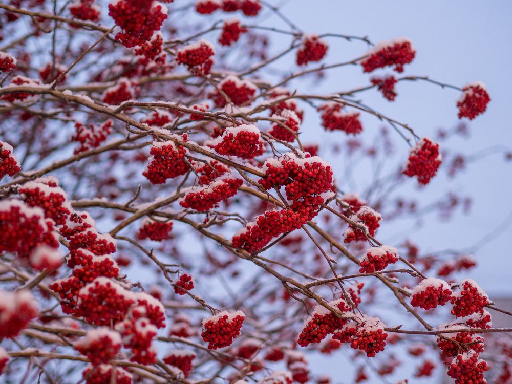 Photograph by Анна Шейко