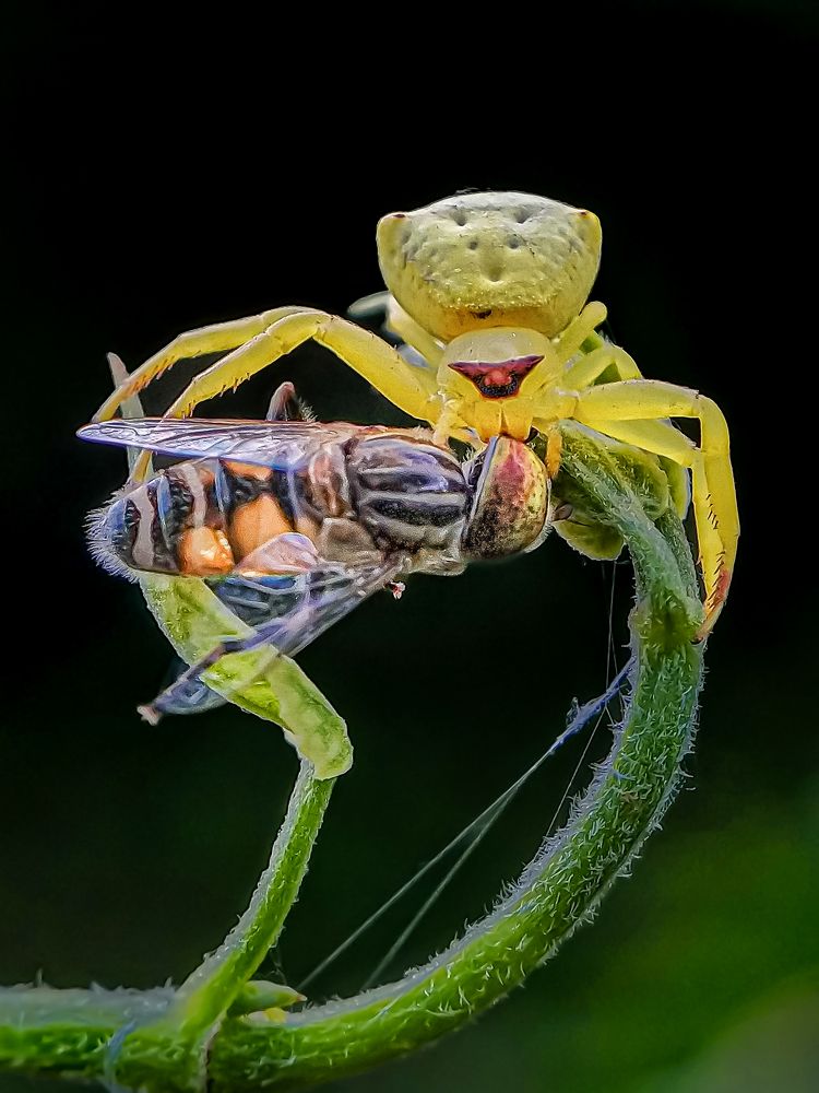 Фотография автора Biplab Hazra