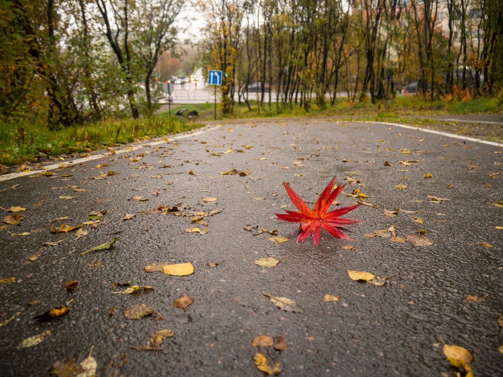 Photograph by Анна Шейко