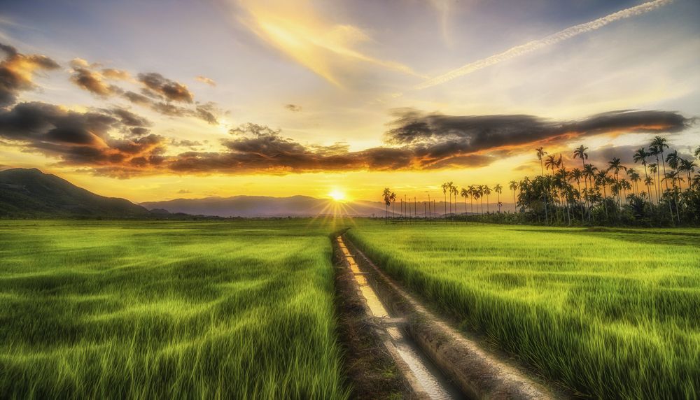 Photograph by Tran Khoa